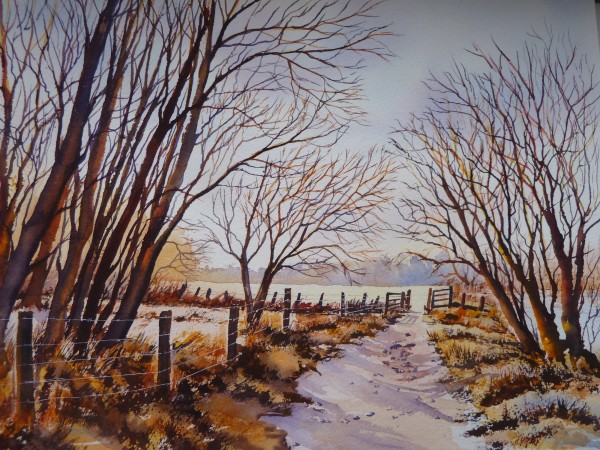 Country Walk In The Winter