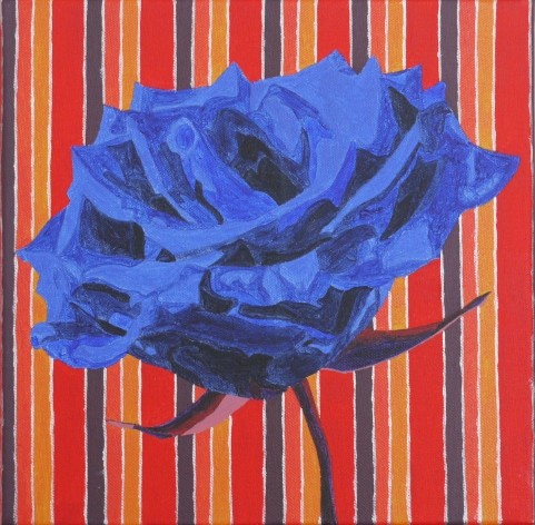 Blue Rose