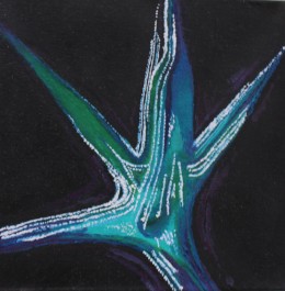 Aquatic Starfish