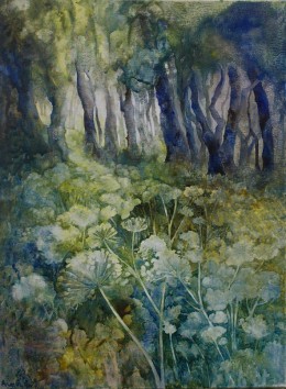 Cowparsley Explosion