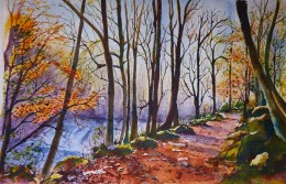 Teign Walk